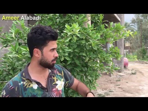 امير العبادي أغبياء الفيس بوك تحشيش لايفوتكم