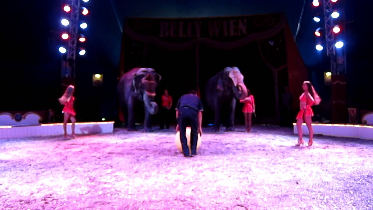 Circus Belly Wien ... voetballende olifant