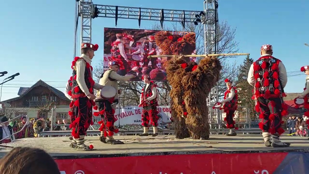 Ursul de la Bădeni la Festivalul de Datini și Obiceiuri de Iarnă din Hârlău, Ediția a LVIII-a...❤️🐻