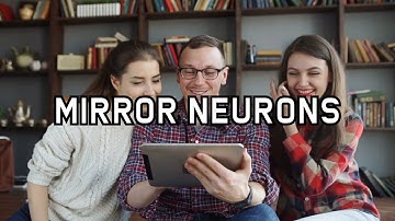 Why Are You Copying Me? The Hilarious Truth About Mirror Neurons