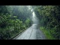 Heavy Rain in Kerala 🌧️ | Relaxing Rain Drive Vlog