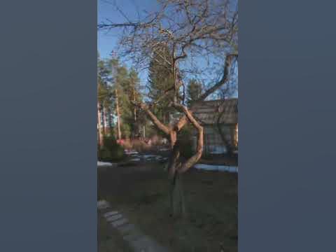 Бусік - YouTube