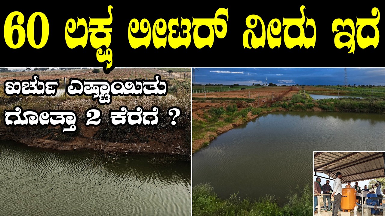 60 ಲಕ್ಷ ಲೀಟರ್‌ ನೀರು ನಾವ್‌ ಸೇವ್‌ ಮಾಡ್ತಾ ಇದೀವಿ | water harvest