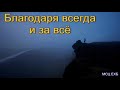 "Благодаря всегда и за всё". Ю. Мясников. МСЦ ЕХБ.