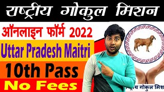 How to Fill UPLDB Maitri Online Form 2022 | How to Fill UP Animal Husbandry Department Maitri Onl...