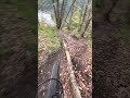 Petite chute ￼