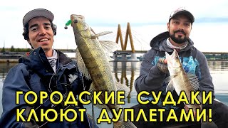 картинка: Судаки в центре города дуреют от ЭТОЙ проводки! Уловистый метод ловли по тёплой воде.