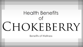 Health Benefits of Chokeberry aronia - Amazing and Super Fruits - Benefits of Wellness