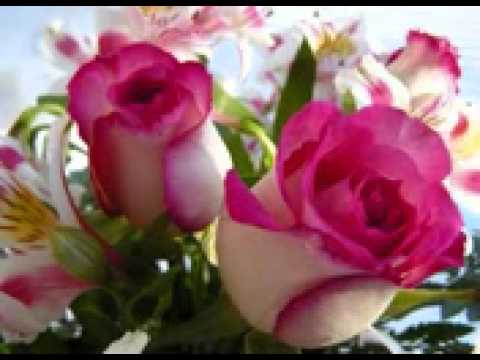 kumar sanu bekali bekhudi bebasi day gaya hi 50599