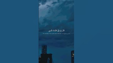 اكتب شيء تؤجر عليه ❤😴 #صوت_جميل #راحة_نفسية #المصحف #قرآن #اكسبلور #تلاوة_خاشعة #لايك