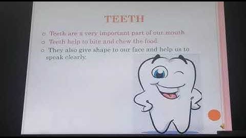 Class 4-Science Chapter 1 Part 1