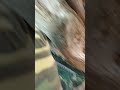 Обзор на зимнюю хату #рекомендации