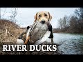 Duck Hunting Rivers | Cold Weather Duck Hunts