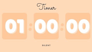 🍊 1 Hour Silent Timer with Cute Ending Alarm | Pastel Orange Timer