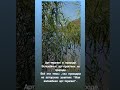 Арт-терапия в природе-важная тема нашей жизни.Это здоровье, энергия,сила,это вдохновение#арттерапия