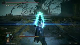 When you start NG+ and fight a Grafted Scion.