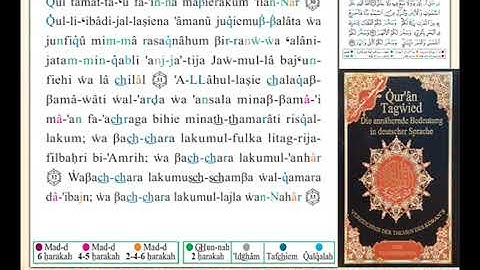 ختمة من مصحف التجويد باللغة الألمانية الصفحة رقم 259