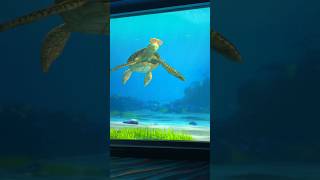 TURTLE TALK WITH CRUSH #funny #disney #pixar #findingnemo #disneyreels #funnyreels