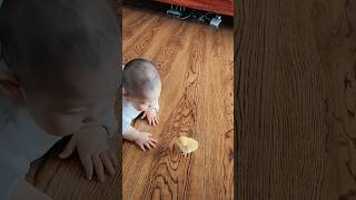 The first friend this kid made #funny #cutebaby #cutepet