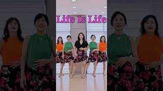 Life Is Life Line Dance|Improver/Easy Intermediate|쉬운중급라인댄스
