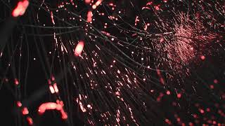 LEViT∆TE - Patience (September 10th)