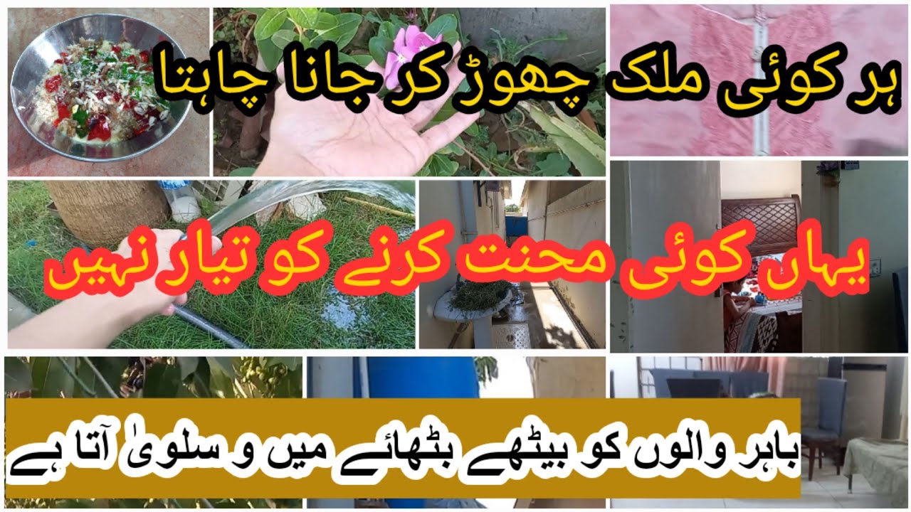 Har Koi Mulk Chor K Jana Chahta Hai Yahan Koi Mahnat Krny Koi Tayar har-koi-mulk-chor-k-jana-chahta-hai-yahan-koi-mahnat-krny-koi-tayar