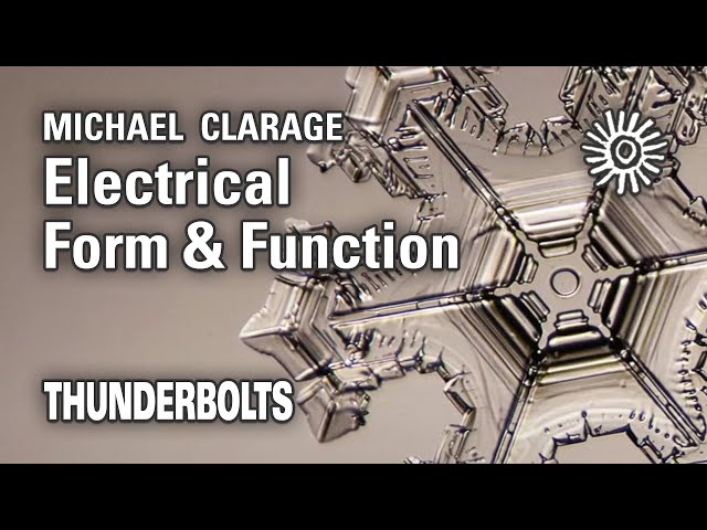 Michael Clarage: Electrical Form and Function | Thunderbolts