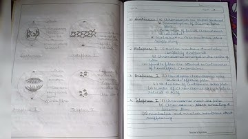 PRACTICAL FILE OF BOTANY B.Sc. 2nd YEAR (GENETICS AND BIOTECHNOLOGY)