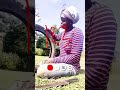 Desh me a new age 👇😂#shorts #fyp #jokes #trending #views #viral #funny @estherlifestyle.7390