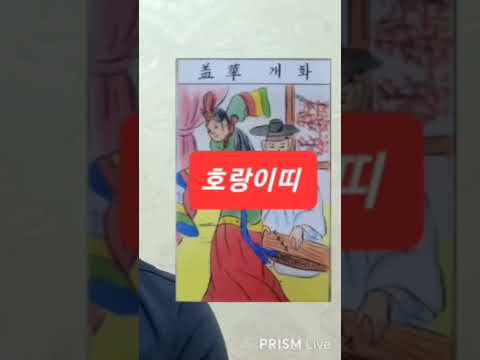 호랑이띠 오늘의운세 <strong>2024년9월10일</strong> 화요일 운세 총운 #운세 #오늘의운세