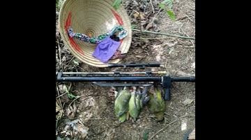 Súng hơi thông bế phốt