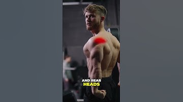 Discover the Best Exercises for Round, Three Dimensional Delts with Dr  Mike Israetel