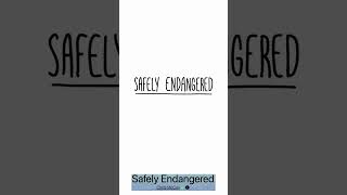 Scary Reflection in Safely Endangered Ep. 33