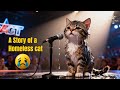 Stray Kitten Sings a Tearful “Meow Meow” 😿 — A Voice of Hope