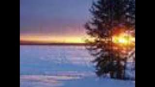 Tarja Turunen - You would have loved this (Lyrics)