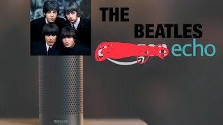 introducing the beatles echo