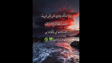 وَإِذَا سَأَلَكَ عِبَادِي عَنِّي فَإِنِّي قَرِيبٌ تلاوة هادئة🥺 💚🌿اسلام صبحي#قرآن