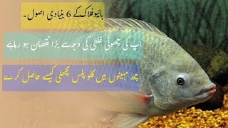 How to grow Fish in Biofloc | Fish Farming in Pak| Complete guide for Biofloc Fish Farming 2025