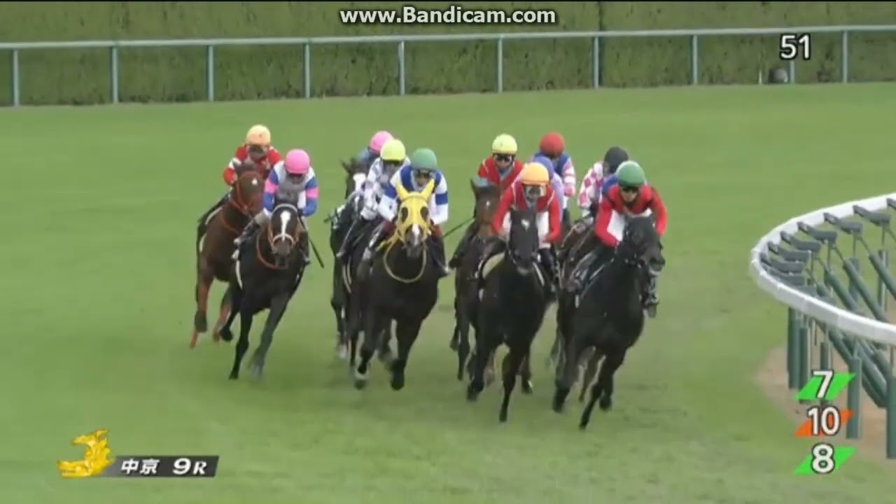 2024 つわぶき賞 (2歳1勝クラス)　ルージュラナキラ