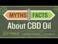 What is CBD Oil? CBD Myths and Facts - Endoca.com