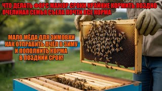 видео: МЁДА НЕТ КОРМИТЬ ПОЗДНО И НЕПРАВИЛЬНО как ОТПРАВИТЬ ПЧЁЛ В ЗИМУ И ПОПОЛНИТЬ КОРМА В ПОЗДНИЙ СРОК 🍯🐝🐝 картинка: МЁДА НЕТ КОРМИТЬ ПОЗДНО И НЕПРАВИЛЬНО как ОТПРАВИТЬ ПЧЁЛ В ЗИМУ И ПОПОЛНИТЬ КОРМА В ПОЗДНИЙ СРОК 🍯🐝🐝