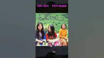 dốc thẩm mã hà giang xinh xắn #vietnam #taybac #hagiang
