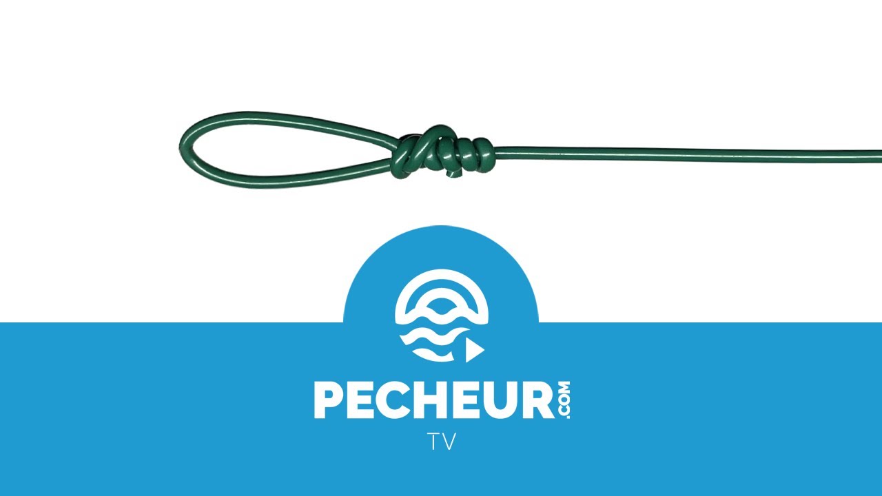 La pêche du silure au leurre souple : Trucs & astuces pour débuter ! -  Delalande Pêche - Leurres souples