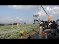 蒟蒻畑 TVCM 2025年 メイキング