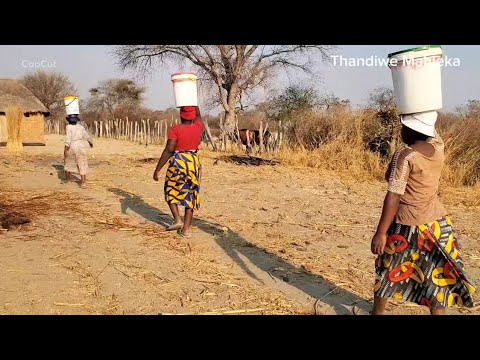 NO BOREHOLE WATER 😭, WHERE DO WE FETCH WATER NOW??