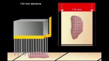 GEA YieldJector Chicken