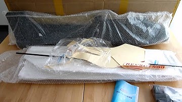 Skywalker 1900 Unboxing and build