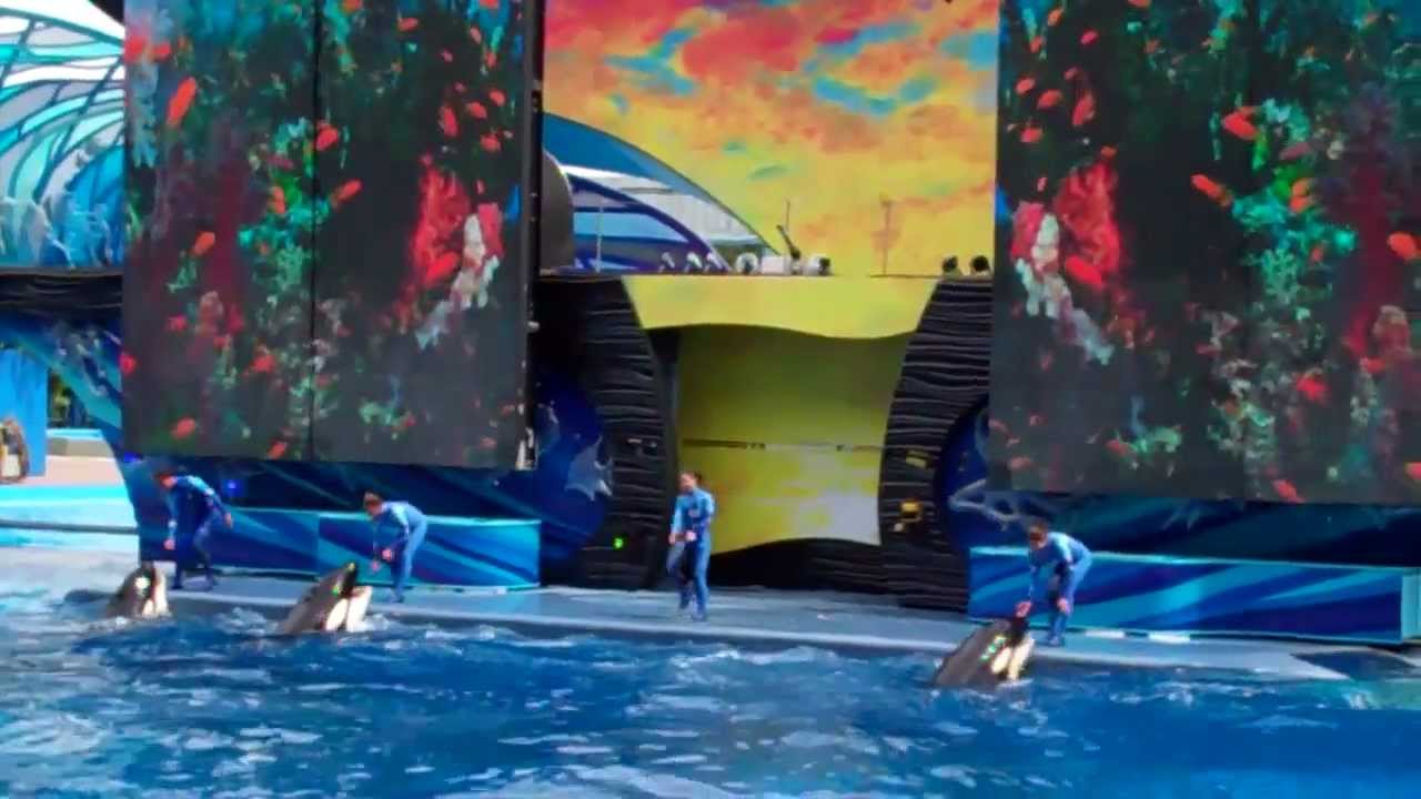 One Ocean at SeaWorld Orlando - 9.25.12 - 1/5 - YouTube