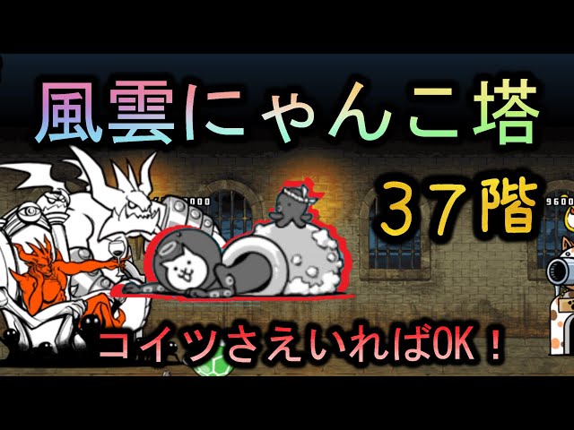 風雲にゃんこ塔37階 | ねこタコつぼさえいれば大丈夫！【にゃんこ大