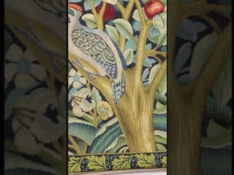 Woodpecker Left by William Morris cushion covers